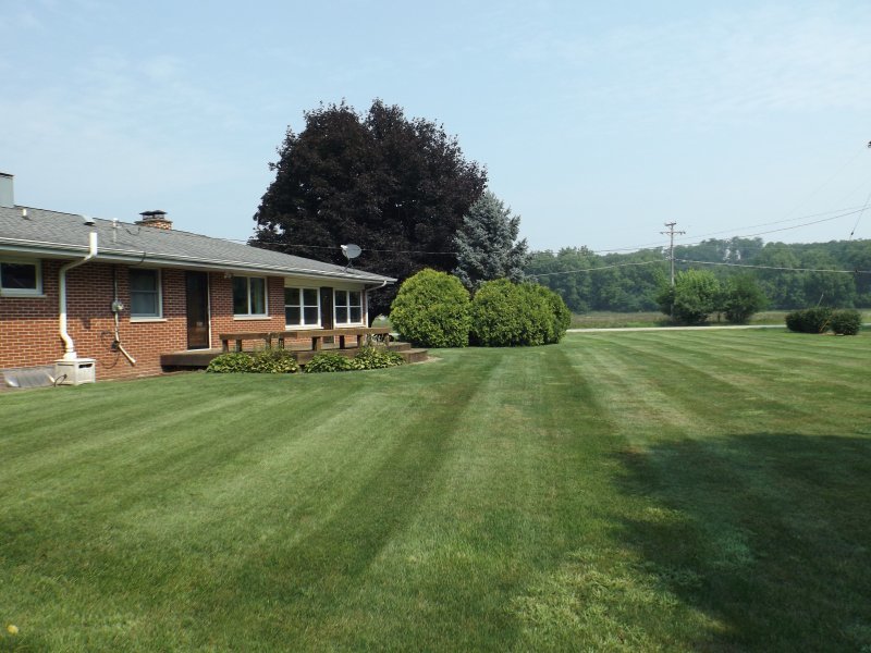 340 Tree Lane