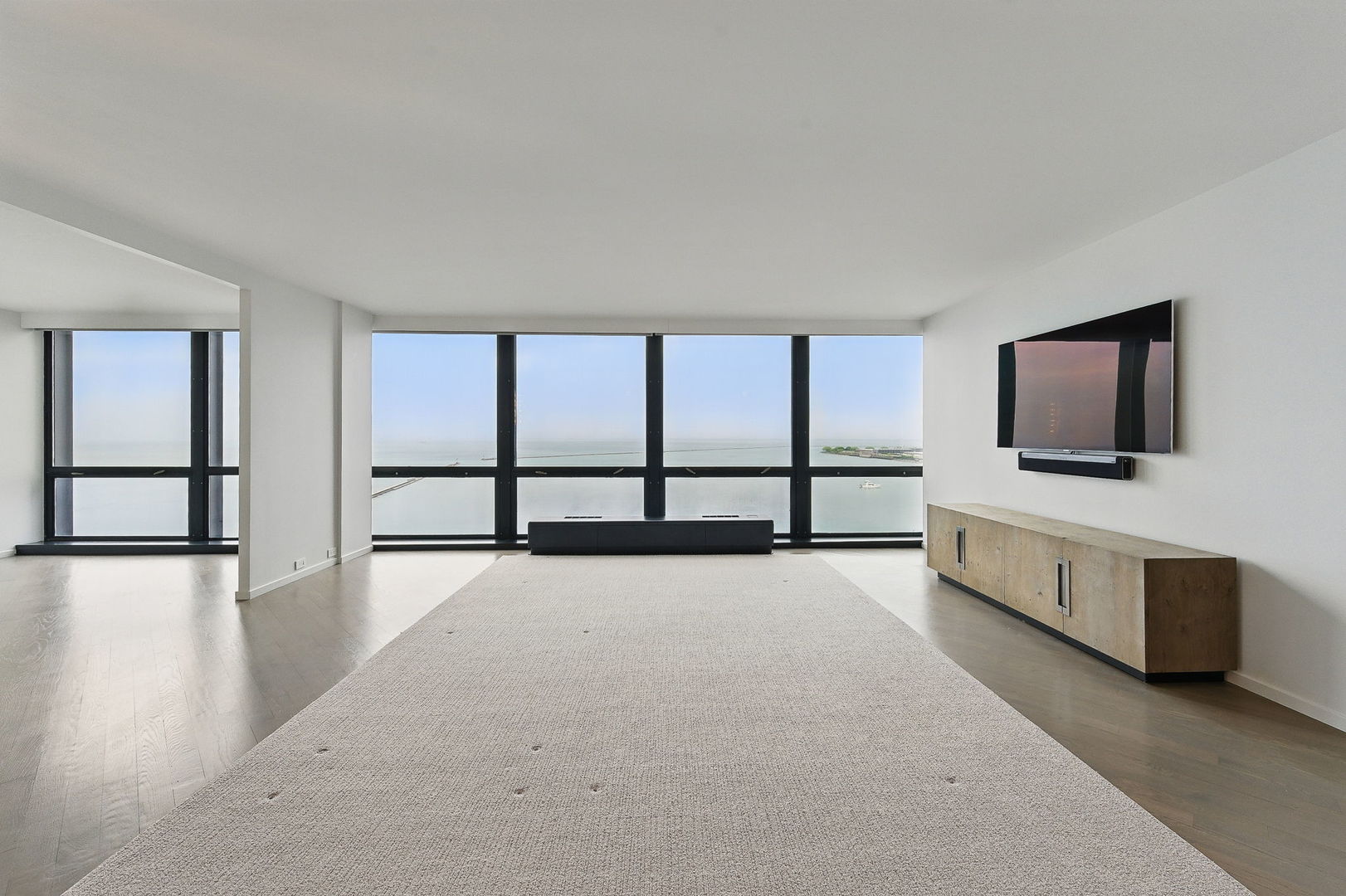 910 N Lake Shore Drive 1419