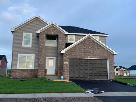 20901 Chesson Street Lynwood IL 60411