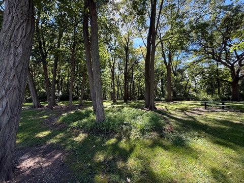 Tiny photo for 107 E Main Street, Yorkville, IL 60560 (MLS # 12772792)