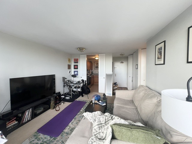 1850 N CLARK Street 710