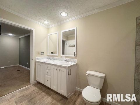 Tiny photo for 509 W MADISON Street, Herrin, IL 62948 (MLS # EB460485)