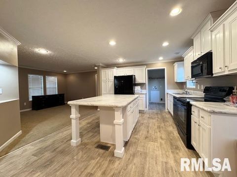 Tiny photo for 509 W MADISON Street, Herrin, IL 62948 (MLS # EB460485)