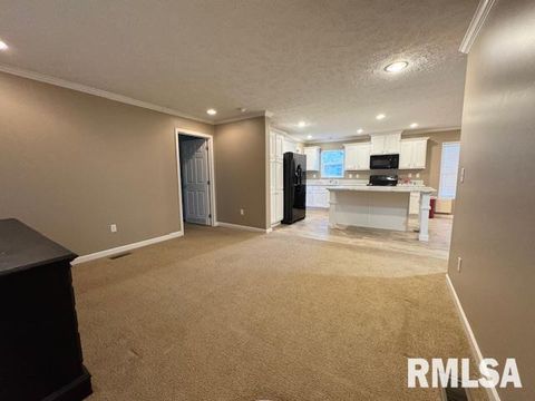 Tiny photo for 509 W MADISON Street, Herrin, IL 62948 (MLS # EB460485)