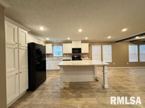 Tiny photo for 509 W MADISON Street, Herrin, IL 62948 (MLS # EB460485)