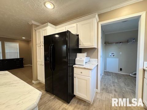 Tiny photo for 509 W MADISON Street, Herrin, IL 62948 (MLS # EB460485)