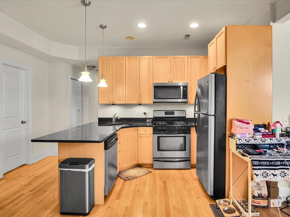 7635.5 N Greenview Avenue 3S