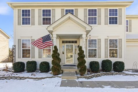 Tiny photo for 3051 Patterson Road, Montgomery, IL 60538 (MLS # 12558621)