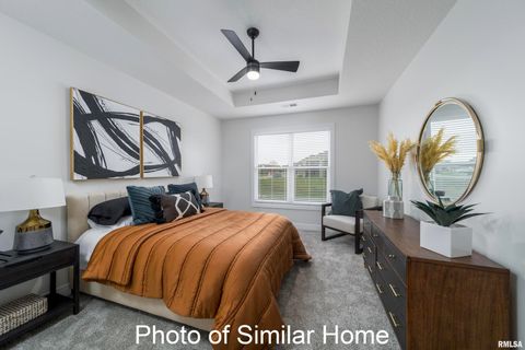 Tiny photo for 443 N 2ND Avenue, Eldridge, IA 52748 (MLS # 12555947)