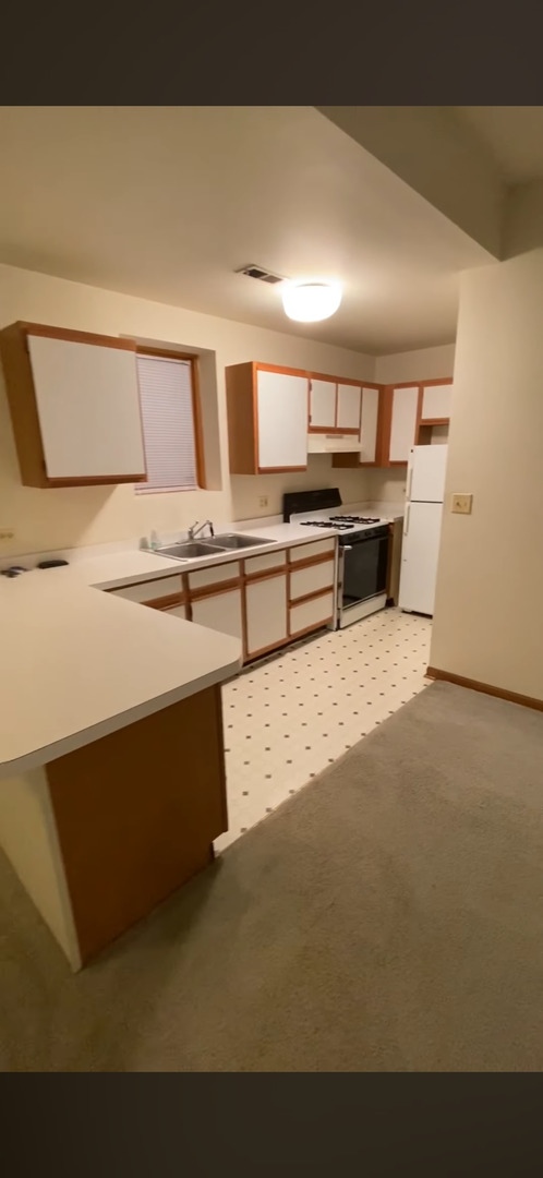 1741 W NELSON Street GARDEN