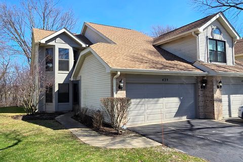 Photo of 439 W AUBURN WOODS Court #439, Palatine, IL 60067 (MLS # 12604509)