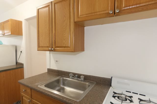 3259 W Wrightwood Avenue 1F