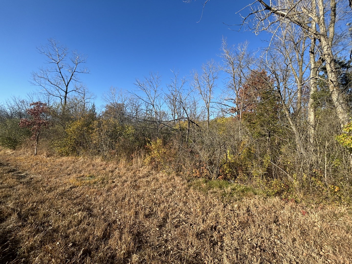 27570 W Il Route 176