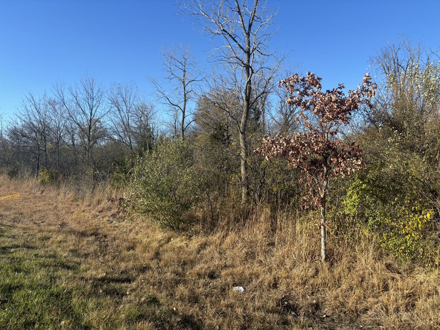 27570 W Il Route 176