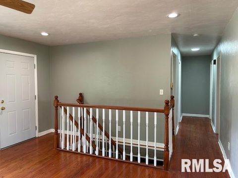 Tiny photo for 518 BARDEN Street, Morrison, IL 61270 (MLS # QC4266928)