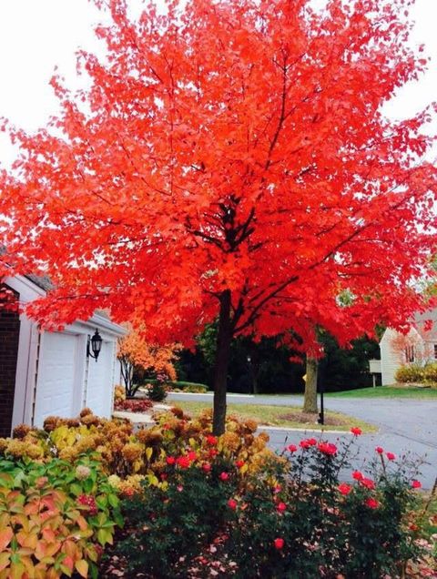 Tiny photo for 1491 Shire Circle, Inverness, IL 60067 (MLS # 12535351)