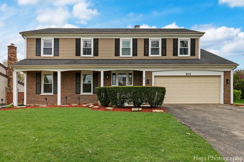 707 W Nichols Road Arlington Heights IL 60004