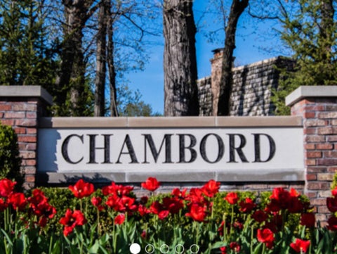 Tiny photo for 19w082 Avenue Barbizon, Oak Brook, IL 60523 (MLS # 12794146)