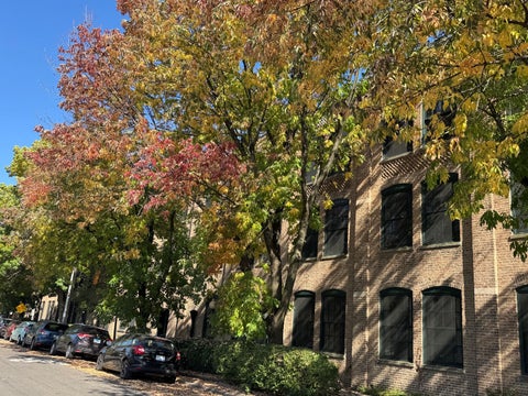Photo of 5235 N Ravenswood Avenue #11, Chicago, IL 60640 (MLS # 12785786)