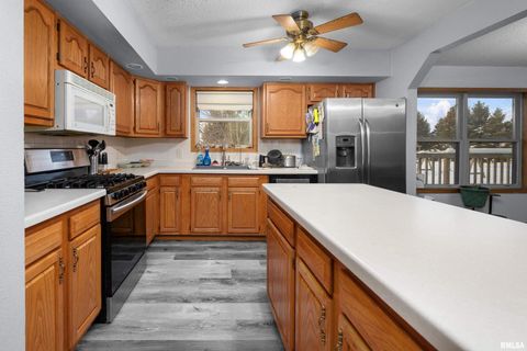 Tiny photo for 1231 90TH Street, Joy, IL 61260 (MLS # QC4269991)