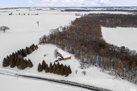 Tiny photo for 1231 90TH Street, Joy, IL 61260 (MLS # QC4269991)