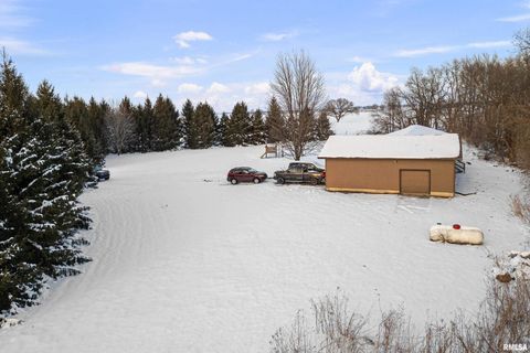 Tiny photo for 1231 90TH Street, Joy, IL 61260 (MLS # QC4269991)