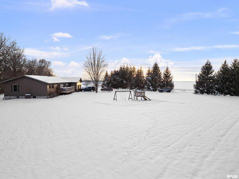 Tiny photo for 1231 90TH Street, Joy, IL 61260 (MLS # QC4269991)
