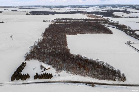 Tiny photo for 1231 90TH Street, Joy, IL 61260 (MLS # QC4269991)