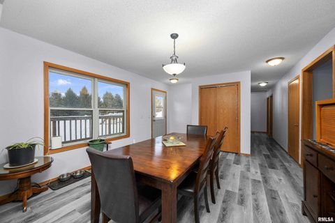 Tiny photo for 1231 90TH Street, Joy, IL 61260 (MLS # QC4269991)