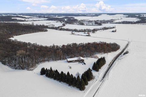 Tiny photo for 1231 90TH Street, Joy, IL 61260 (MLS # QC4269991)