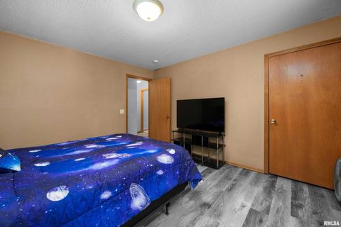 Tiny photo for 1231 90TH Street, Joy, IL 61260 (MLS # QC4269991)