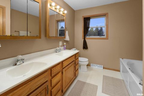 Tiny photo for 1231 90TH Street, Joy, IL 61260 (MLS # QC4269991)