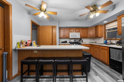 Tiny photo for 1231 90TH Street, Joy, IL 61260 (MLS # QC4269991)