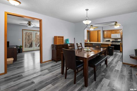 Tiny photo for 1231 90TH Street, Joy, IL 61260 (MLS # QC4269991)