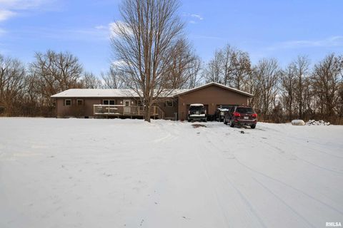 Tiny photo for 1231 90TH Street, Joy, IL 61260 (MLS # QC4269991)