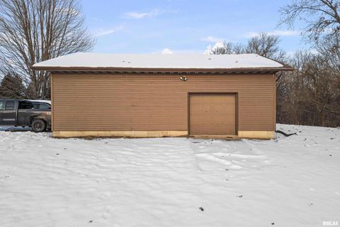 Tiny photo for 1231 90TH Street, Joy, IL 61260 (MLS # QC4269991)