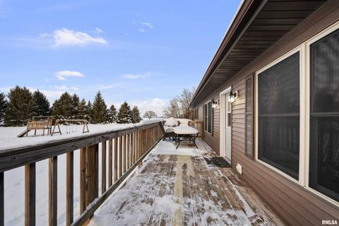 Tiny photo for 1231 90TH Street, Joy, IL 61260 (MLS # QC4269991)