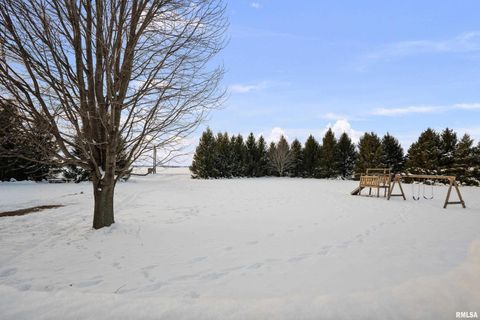 Tiny photo for 1231 90TH Street, Joy, IL 61260 (MLS # QC4269991)
