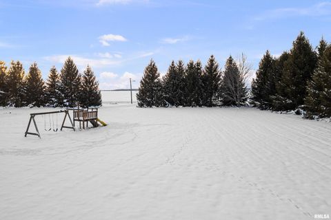 Tiny photo for 1231 90TH Street, Joy, IL 61260 (MLS # QC4269991)