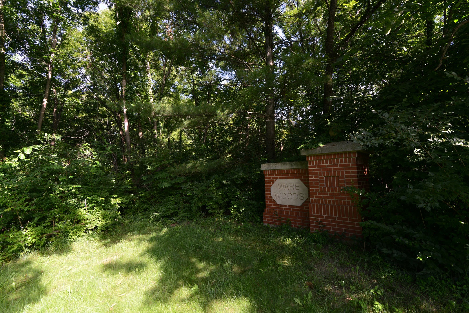 Lot 1 Ware Woods Drive