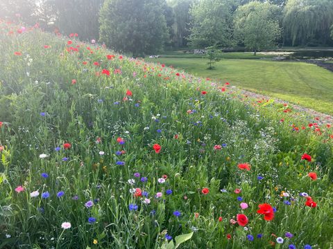 Tiny photo for 3 Eagle Pointe Drive, Barrington Hills, IL 60010 (MLS # 12585004)