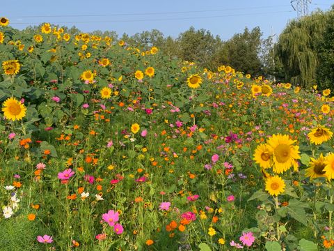 Tiny photo for 3 Eagle Pointe Drive, Barrington Hills, IL 60010 (MLS # 12585004)