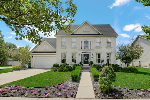 3420 Avondale Lane New Lenox IL 60451