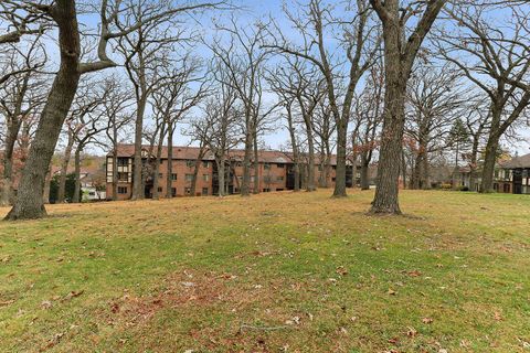 A home in Palos Heights