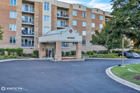 Photo of 2240 S Grace Street #307, Lombard, IL 60148 (MLS # 12463688)