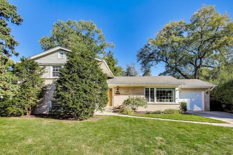 1108 W MINER Street Arlington Heights IL 60005