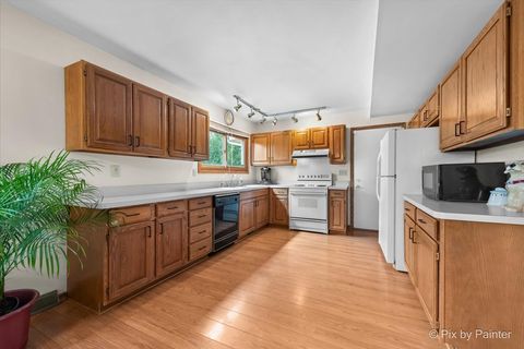 Tiny photo for 29648 S State Line Road, Beecher, IL 60401 (MLS # 12406942)