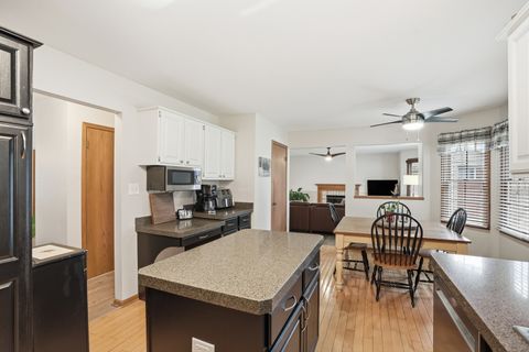 Tiny photo for 18328 Country Lane, Lansing, IL 60438 (MLS # 12507797)