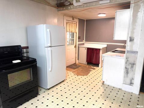 Tiny photo for 4745 N State Route 3 Highway, Wolf Lake, IL 62998 (MLS # EB459983)