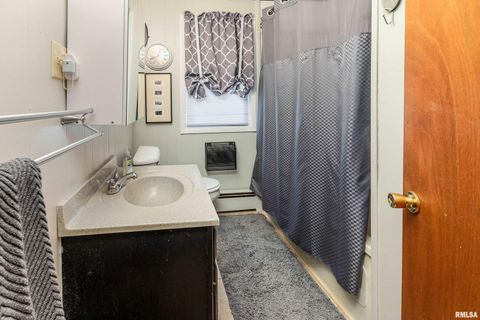 Tiny photo for 1318 OLIVE Street, Murphysboro, IL 62966 (MLS # EB459322)